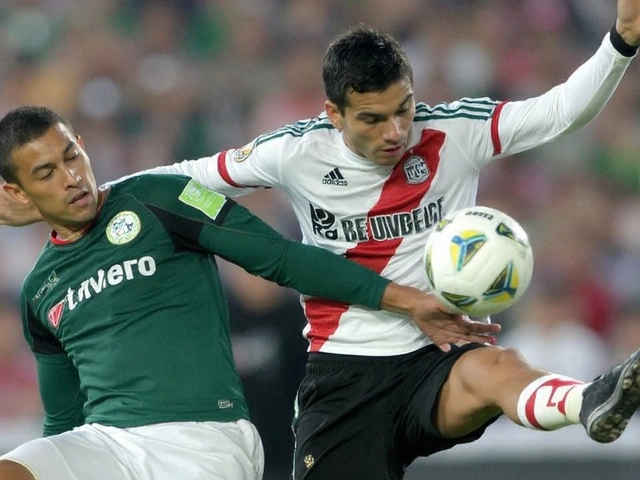 Previsão psíquica indica vitória do Palmeiras sobre o River Plate na Libertadores